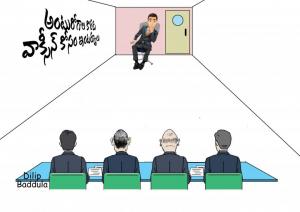 Vaccine Interviews